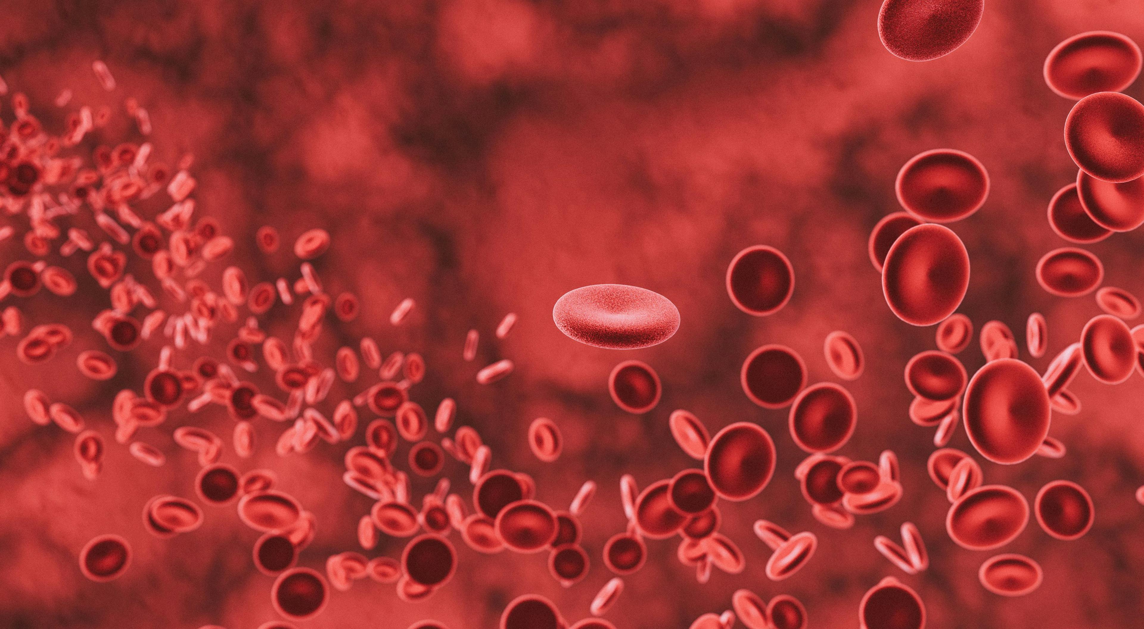Image of red blood cells.
