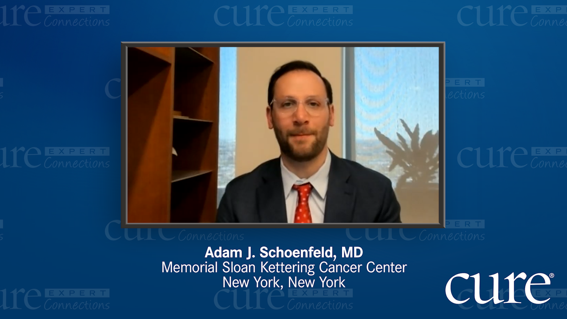 The Potential Role of TIL Therapy in NSCLC