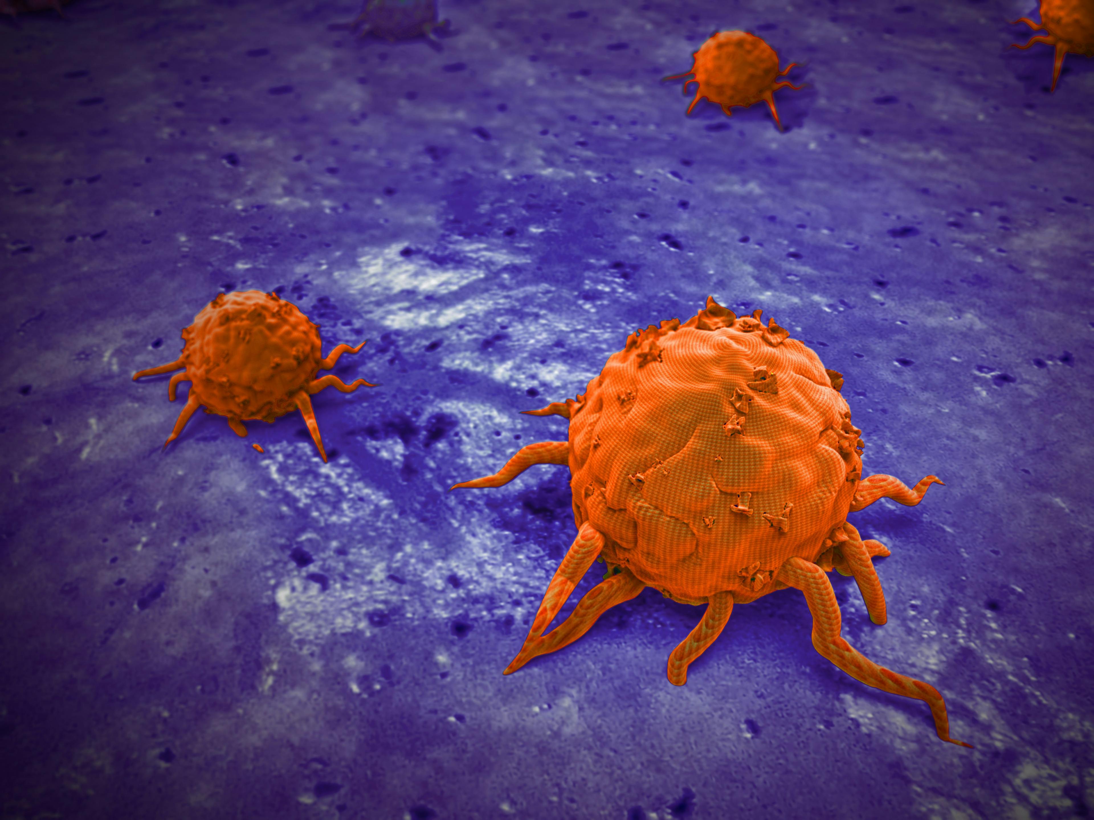 orange cancer cell on purple background