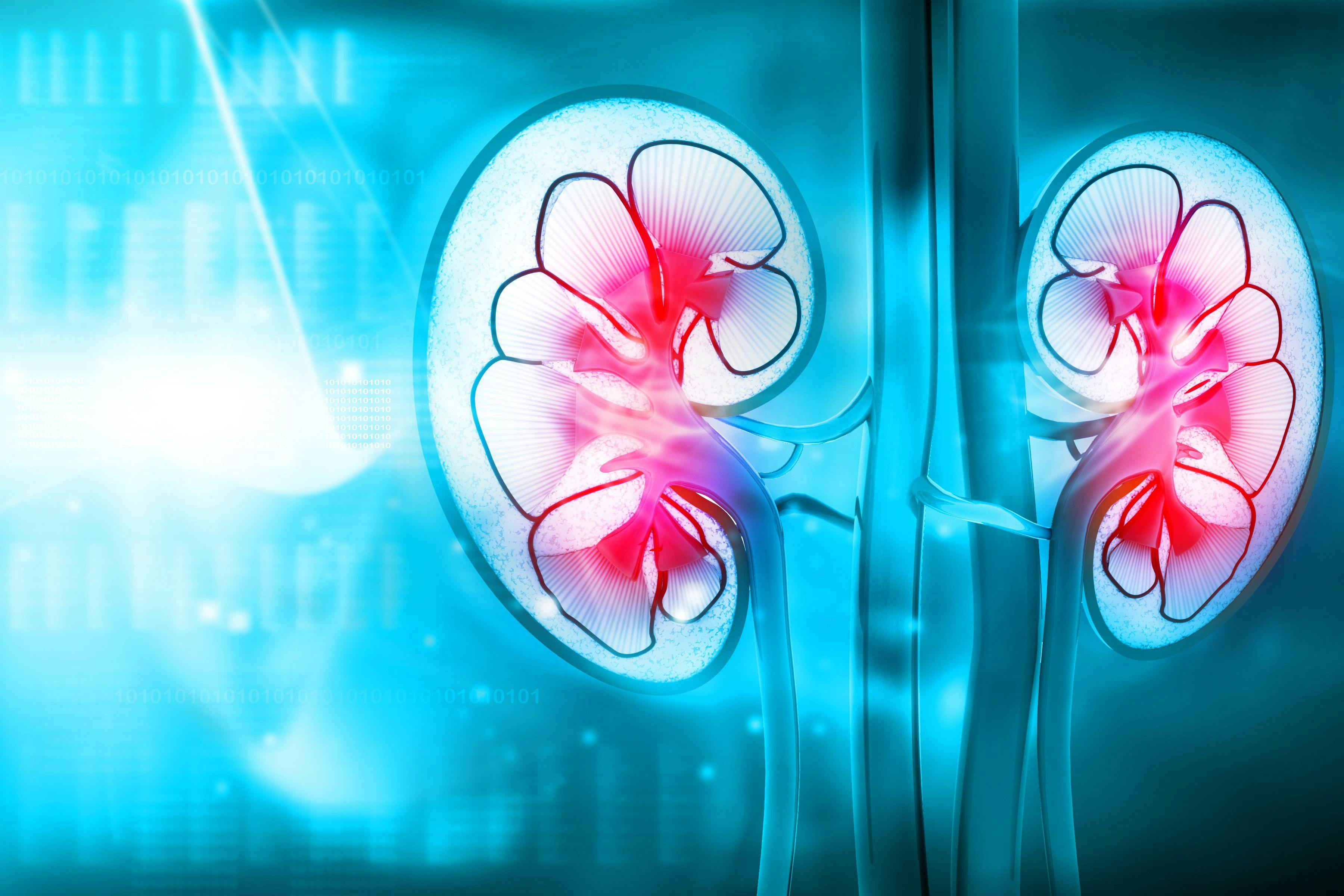 Keytruda-Inlyta Combo Continues to Improve Survival in Kidney Cancer