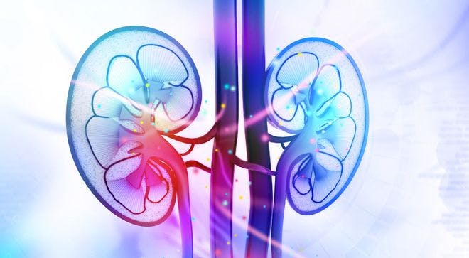 Experimental Therapy Demonstrates 'Encouraging Efficacy and Improved Safety' Over Standard-of-Care Treatment in Kidney Cancer Subset