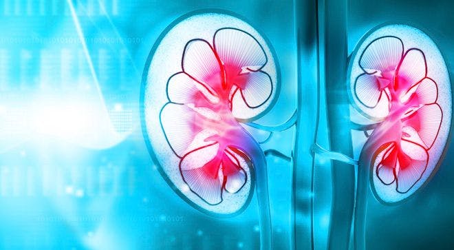 Targeted Therapies May Benefit Older Patients With Metastatic Renal Cell Carcinoma