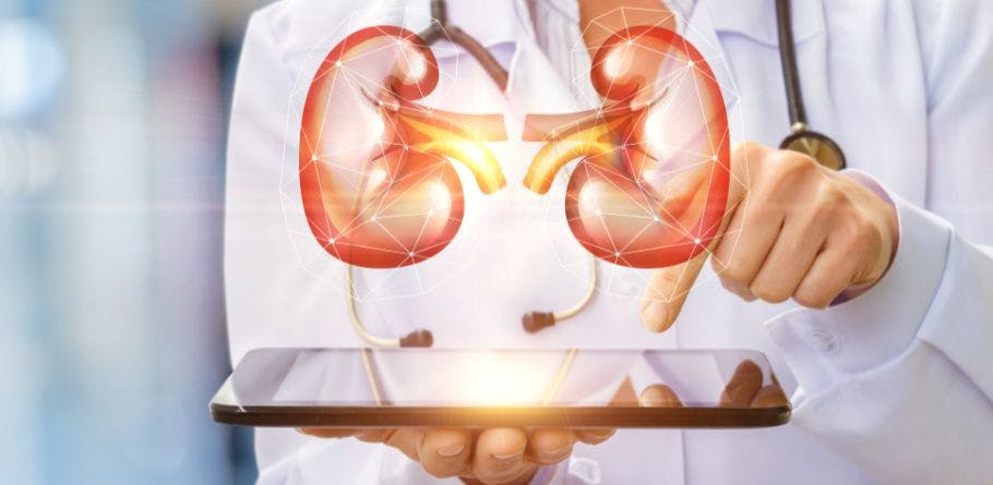 kidneys above an ipad, doctor pointing to them 