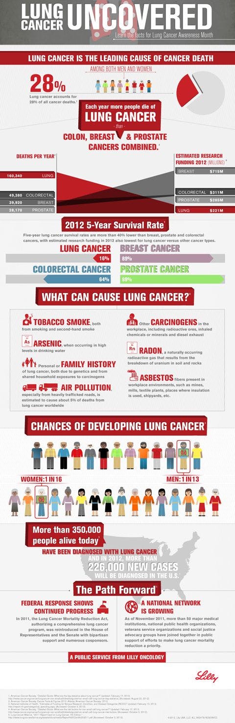 Lung Cancer infographic