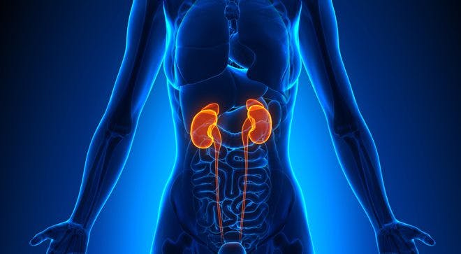 Addressing Nutrition in Patients with Kidney Cancer