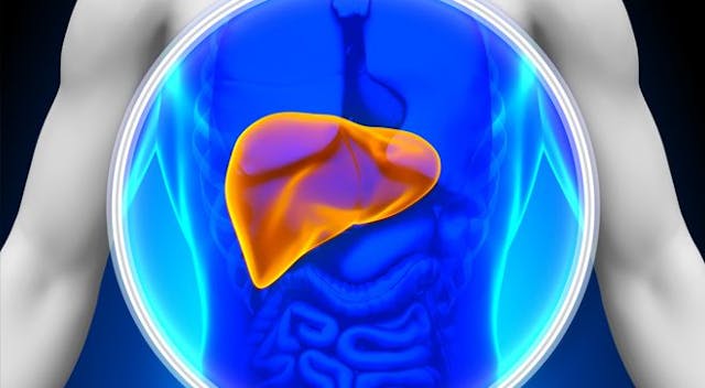 Keytruda and Lenvima as frontline treatment improved survival and duration of response in patients with advanced liver cancer.