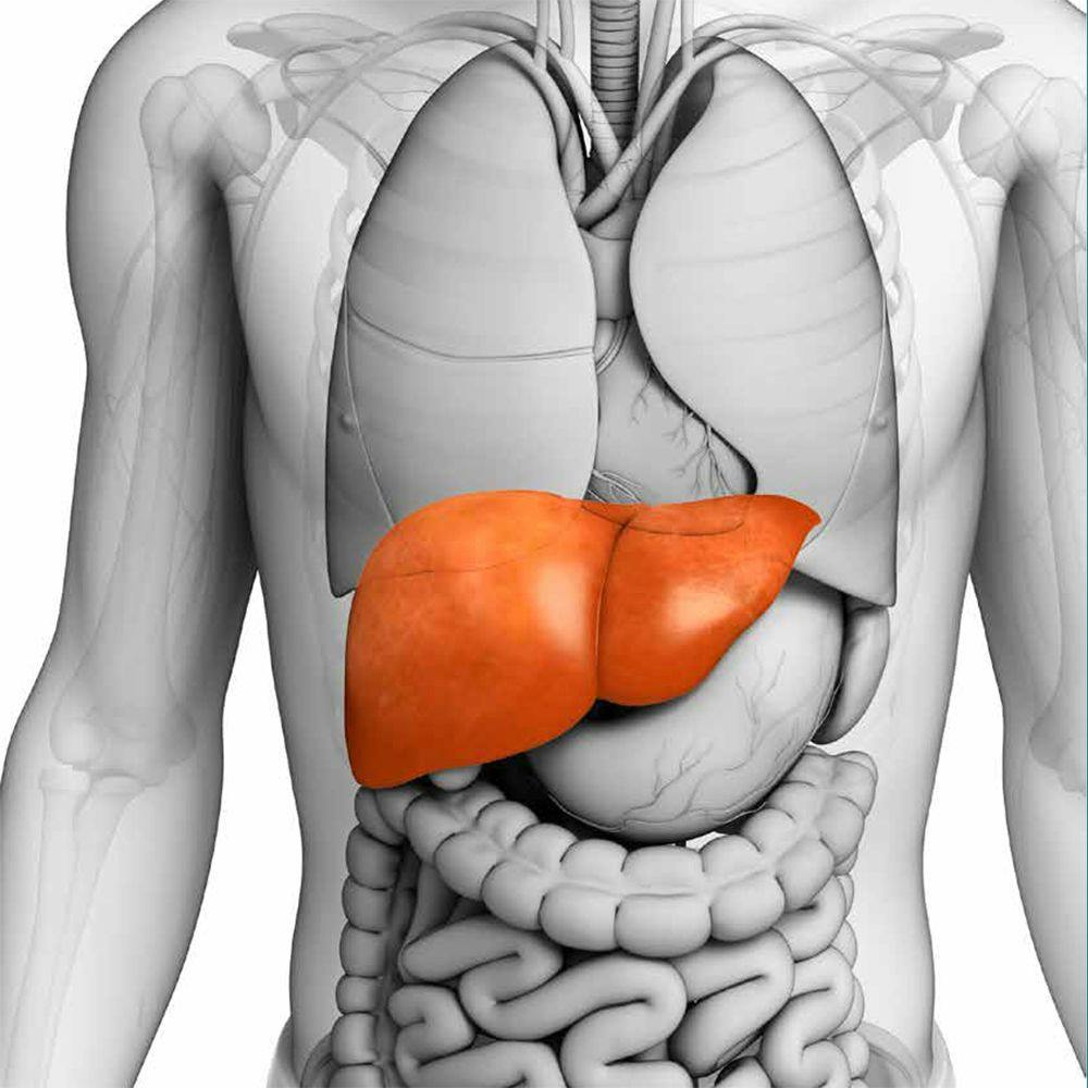 Cabometyx Improves Survival in Advanced Liver Cancer