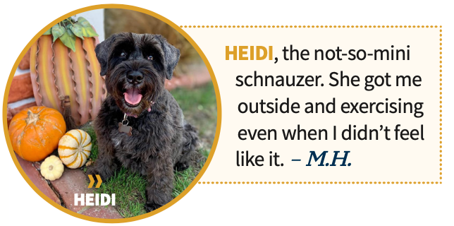 Heidi the mini schnauzer