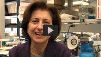 Oncologist Suzanne L. Topalian Describes New Melanoma Treatments 