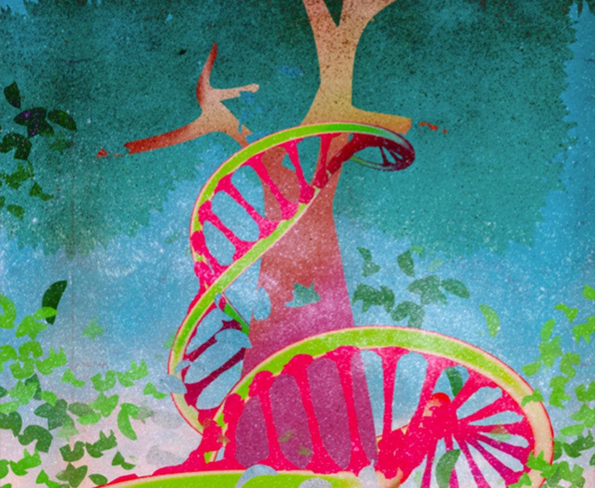 Looking Forward: Patients With Genetic Mutations Are Empowered to Make Plans