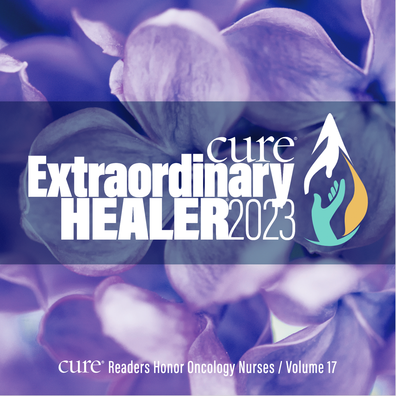 Extraordinary Healer Vol. 17 cover, with purple flowers 