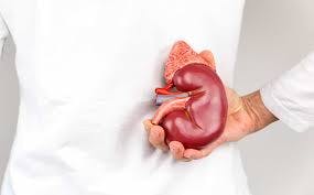 image of kidney cancer