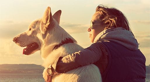 When Treating Your Skin Cancer, Protect Your Pets