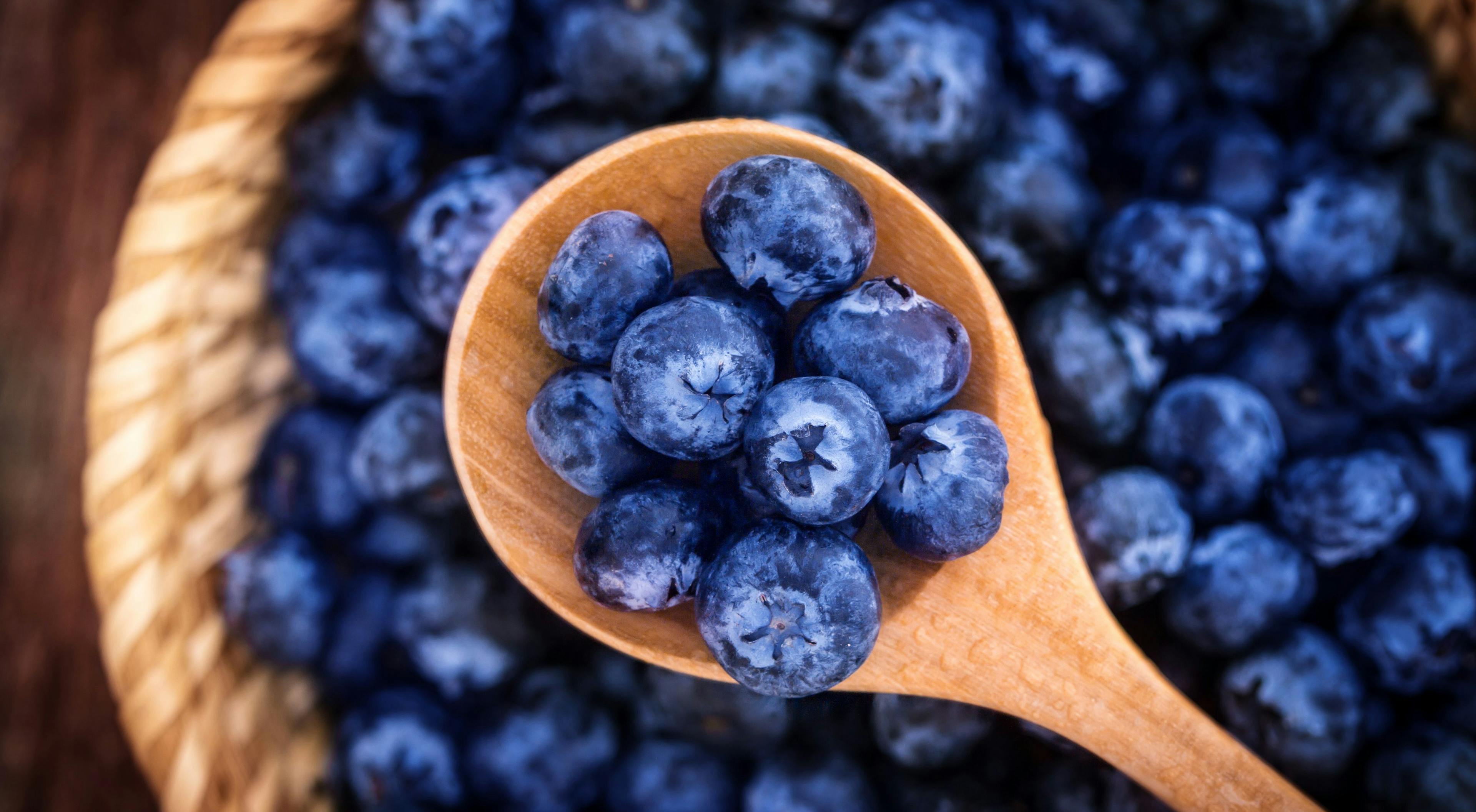 Researchers Turn to Blueberries in Fight Against Cervical Cancer