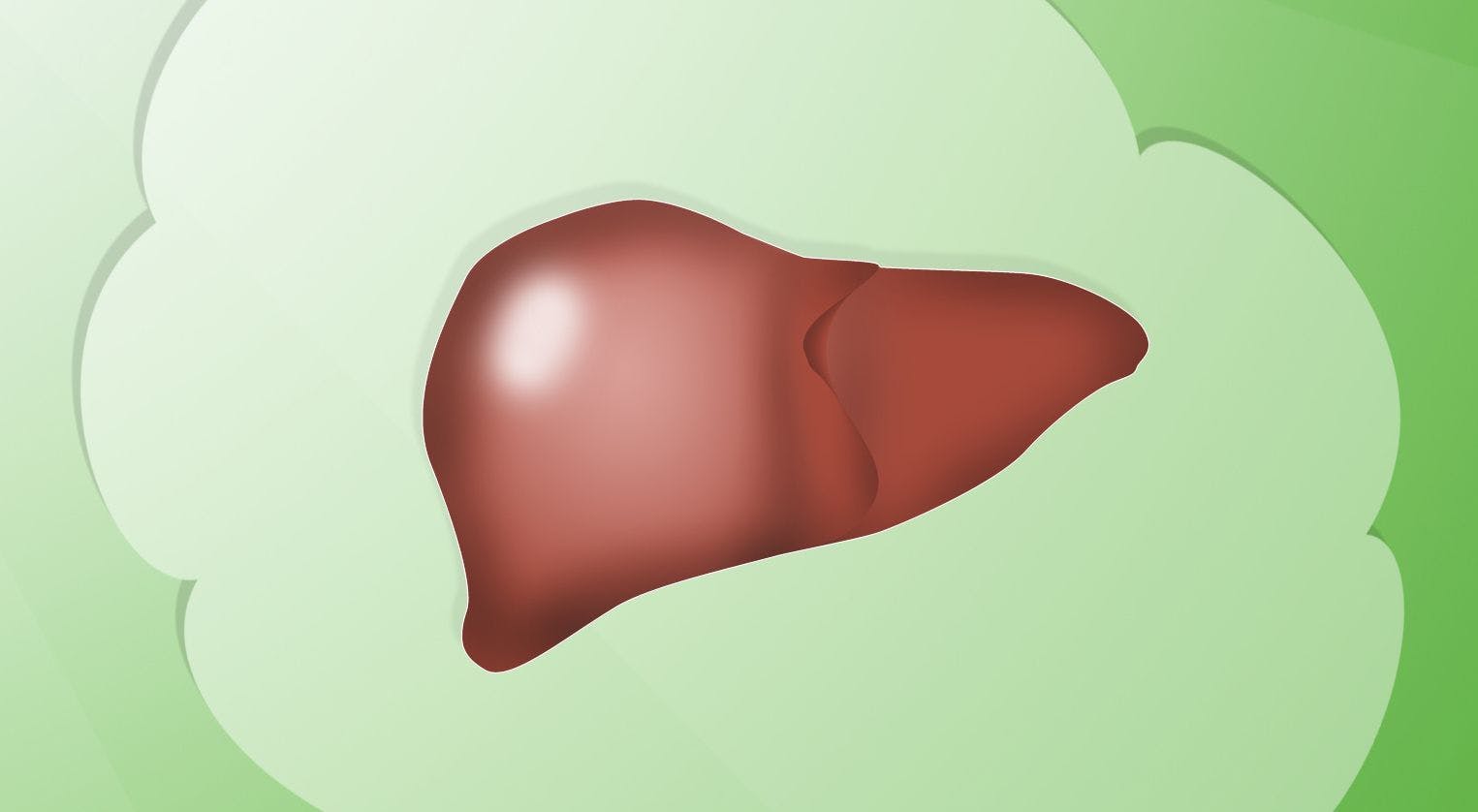 Donor Race May Play a Role in Survival of Transplant Patients With Liver Cancer