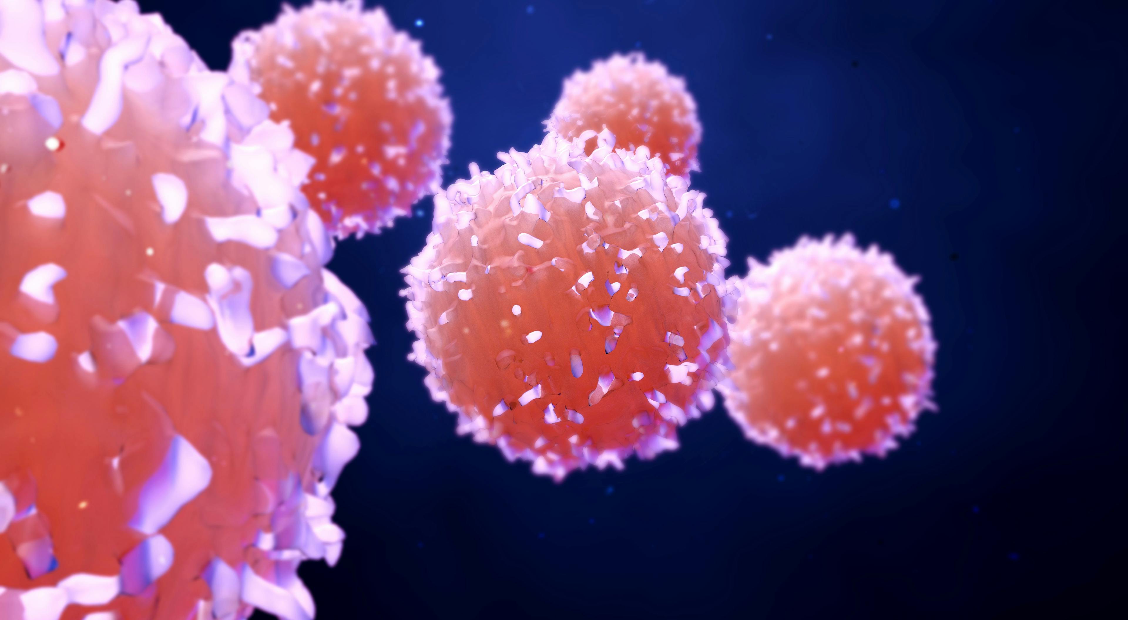 Subset of Cells in Bladder Cancer May Hinder Immunotherapy Outcomes