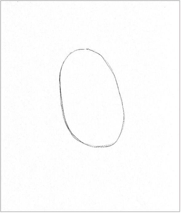 1. Lightly draw an elongated oval. This will be the bear’s body.