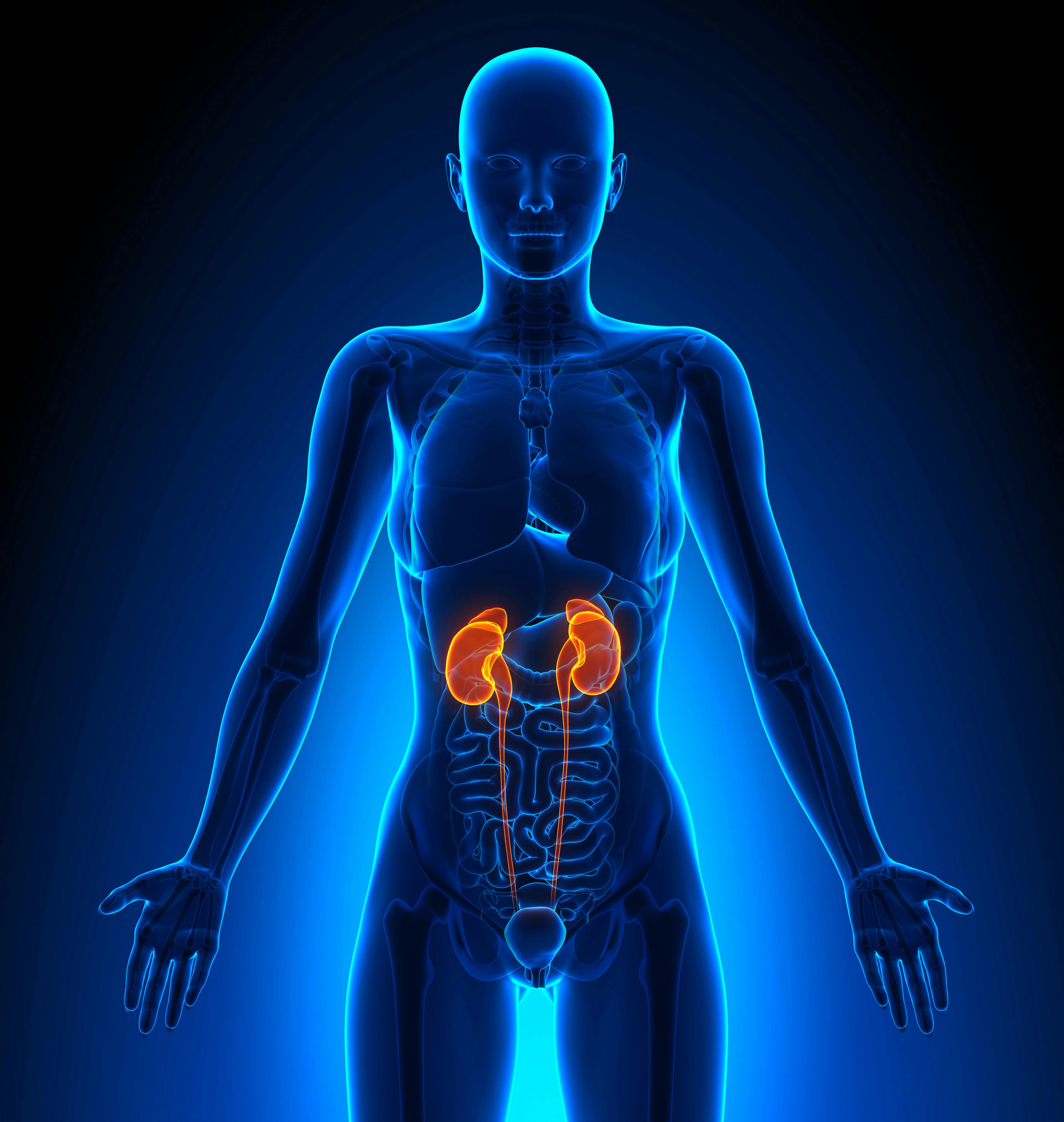 Cabometyx-Opdivo Is ‘One of the New Standards of Care’ in Treating Kidney Cancer Subtype