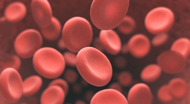 Image of red blood cells.