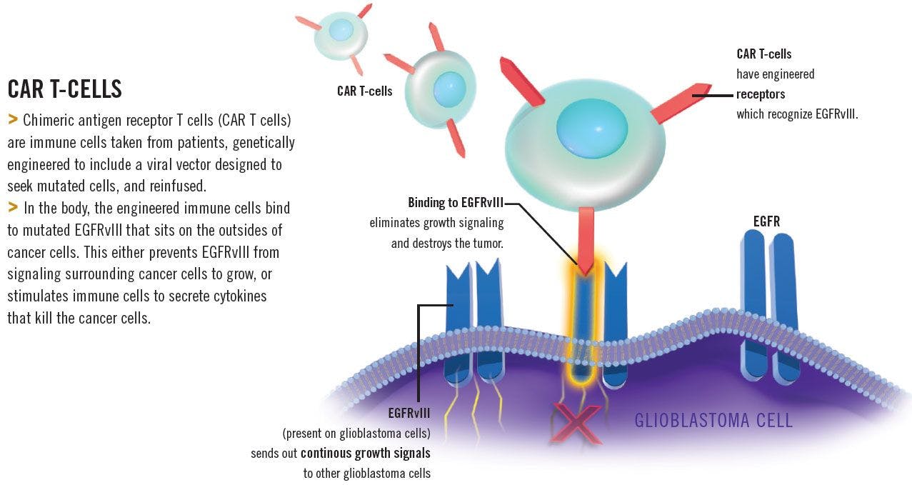CAR T-cells