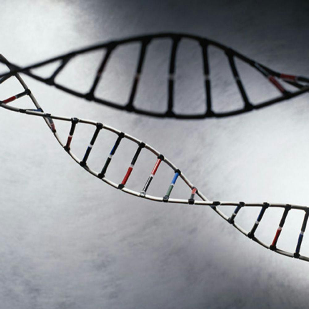 New Toolkit Will Help Patients and Families Navigate Cancer Genetics