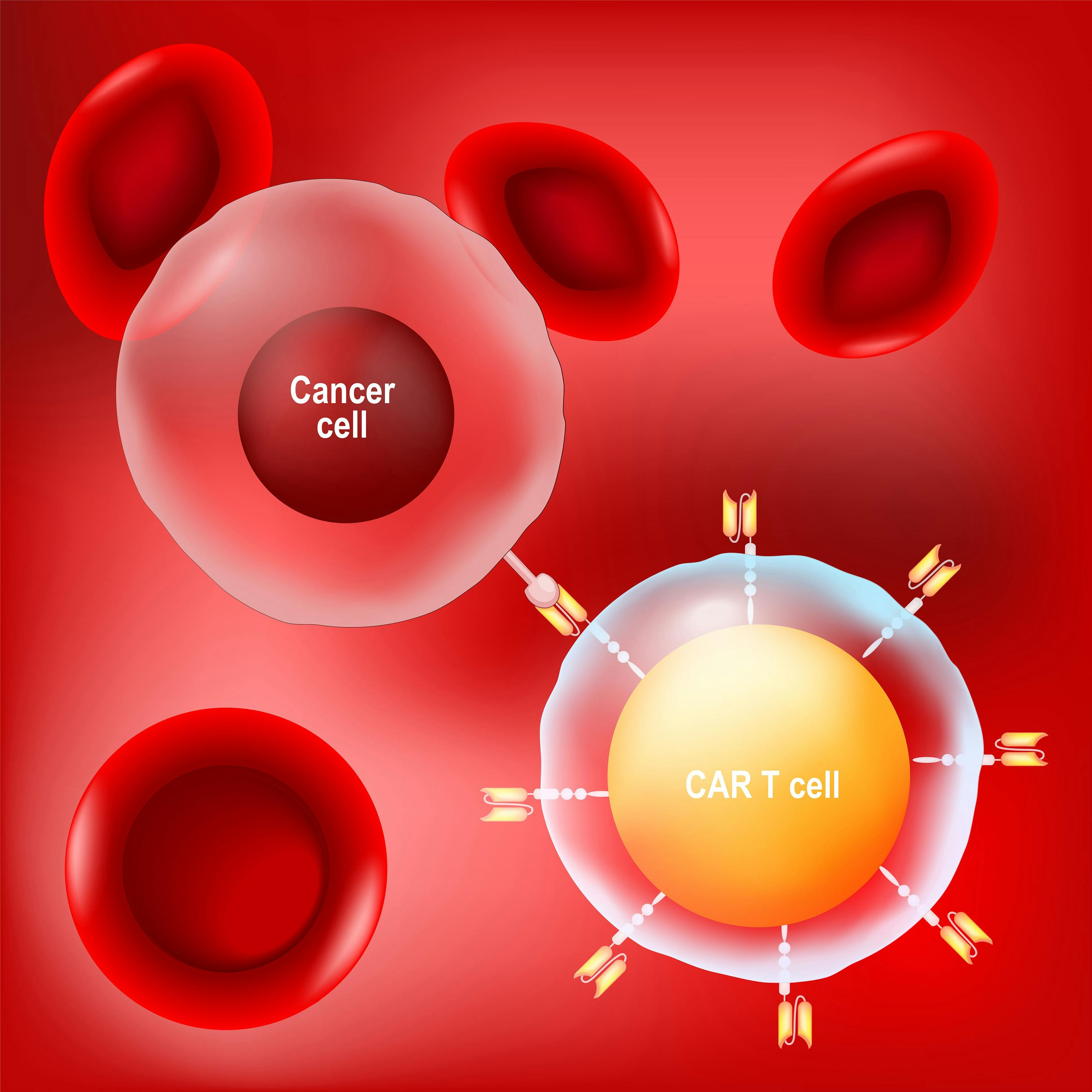 Cancer cell, CAR t-cell and red blood cells on red background | Image credit: © designua - © stock.adobe.com