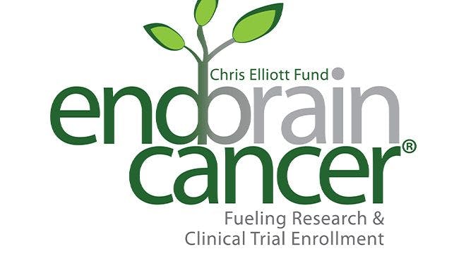 Clinical Trial Opportunity for Patients With Recurrent Glioblastoma