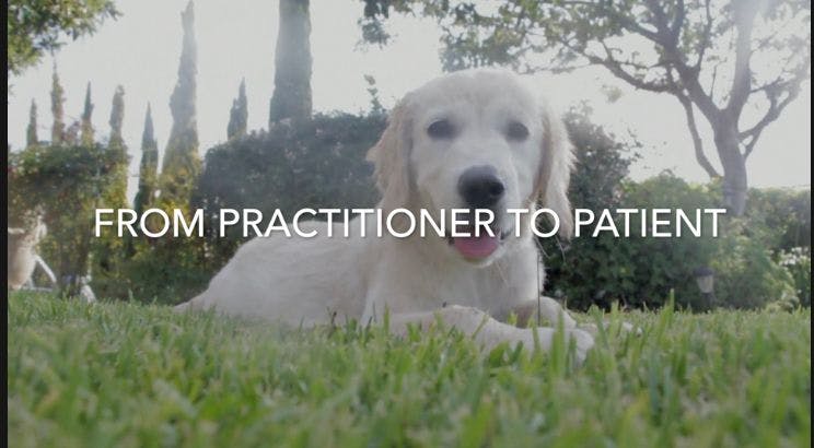 Dr. Jeff Young: From Practitioner to Patient