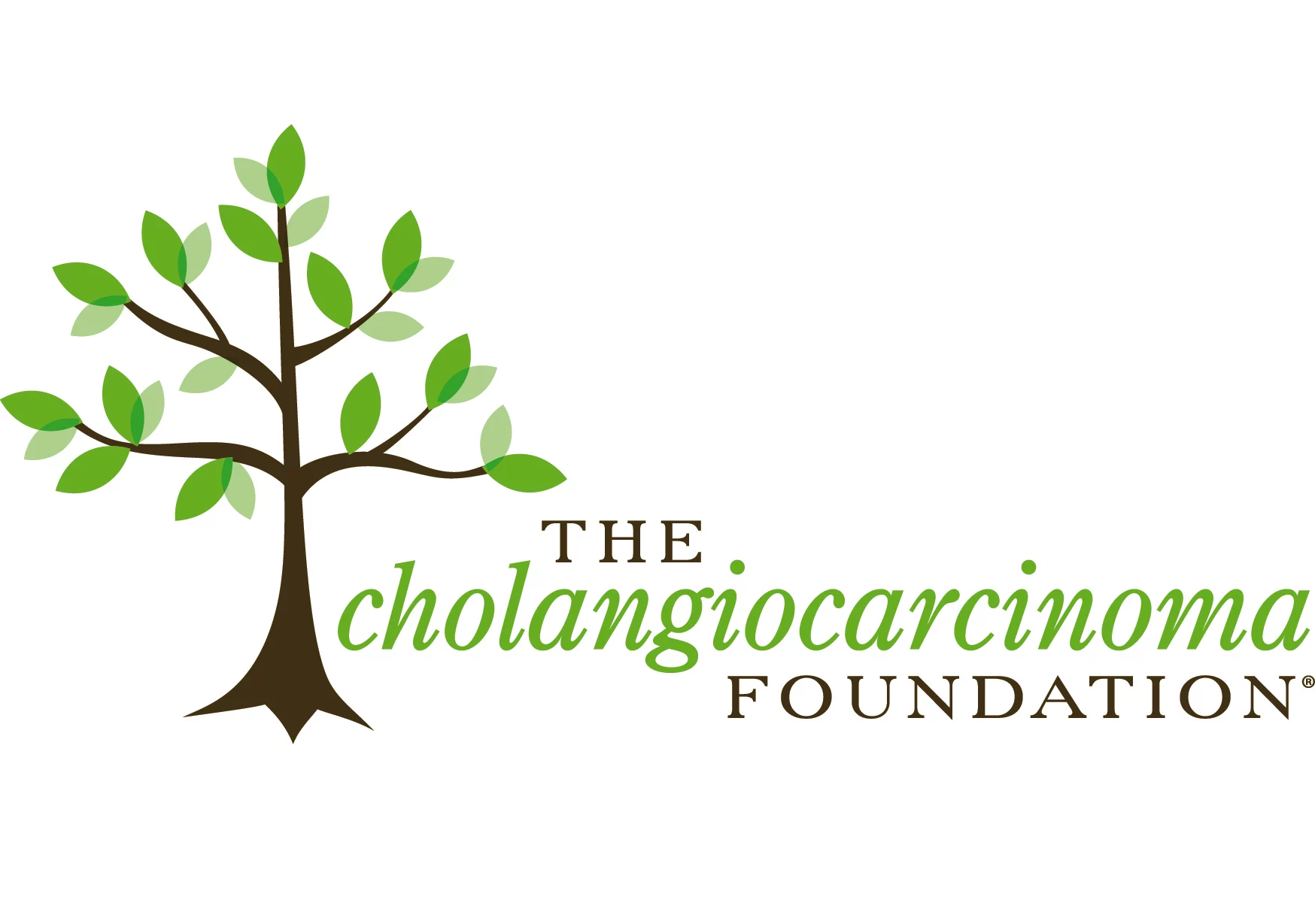 Cholangiocarcinoma Foundation raises more than $76,000 in  2nd Annual Moving for the Cure