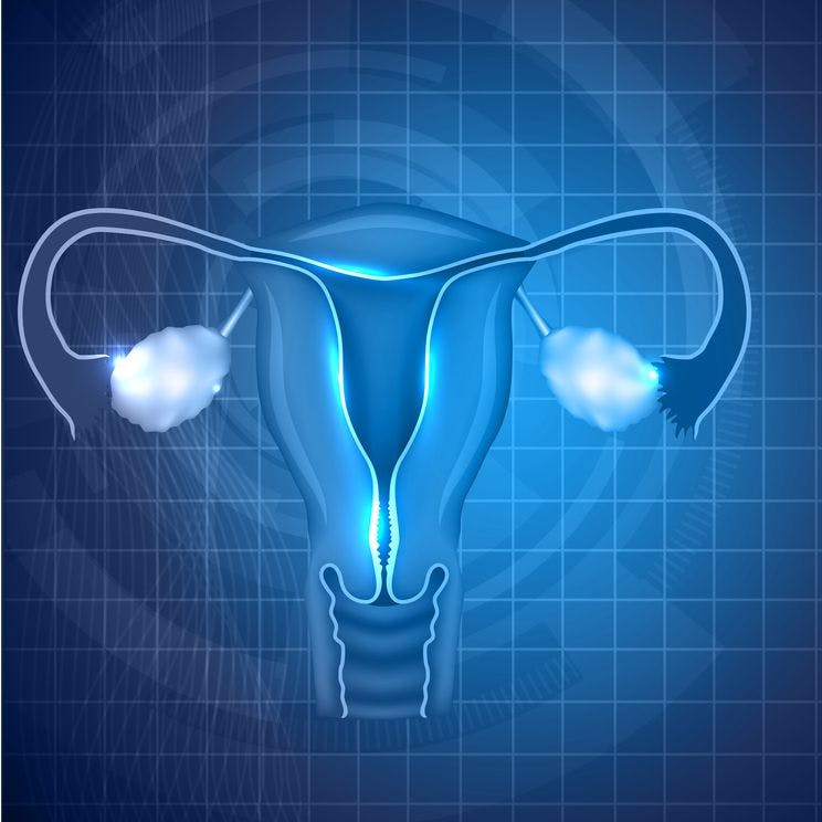 Image of the female reproductive system