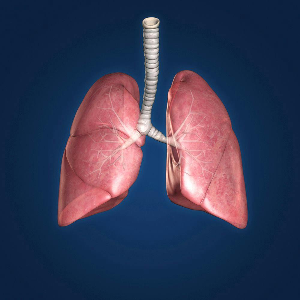 Treatment Guidelines Updated for Advanced Lung Cancer