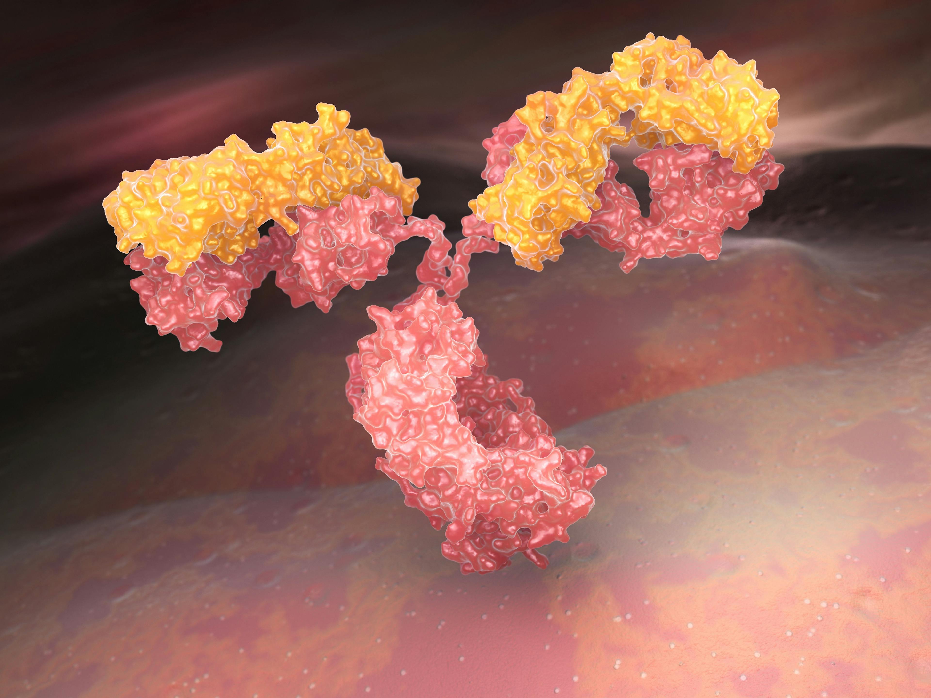 Bispecific Antibodies Wage a Two-Pronged Attack on Tumors