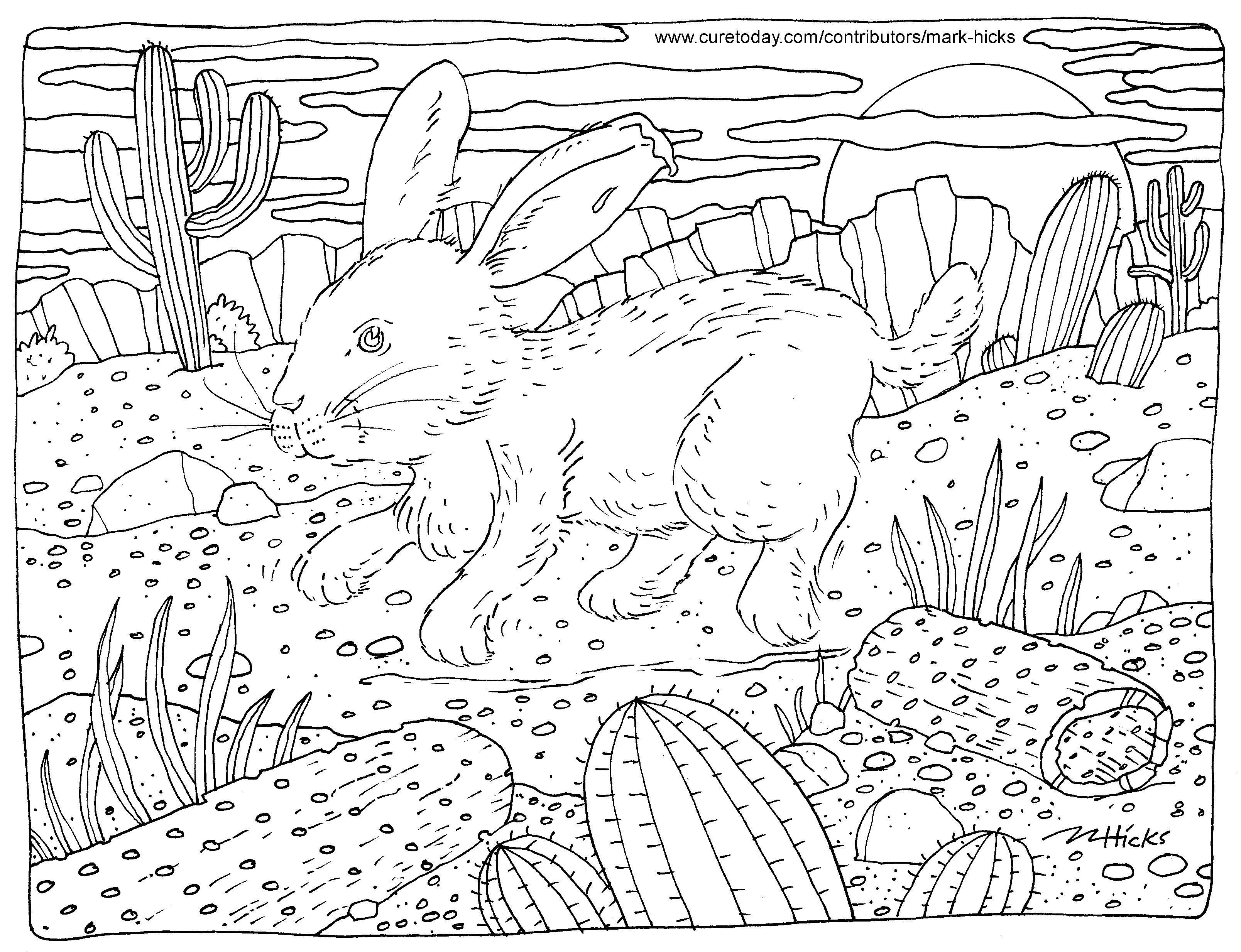 Year of the rabbit coloring page by Mark Hicks