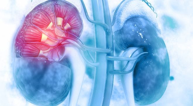 kidneys on blue background