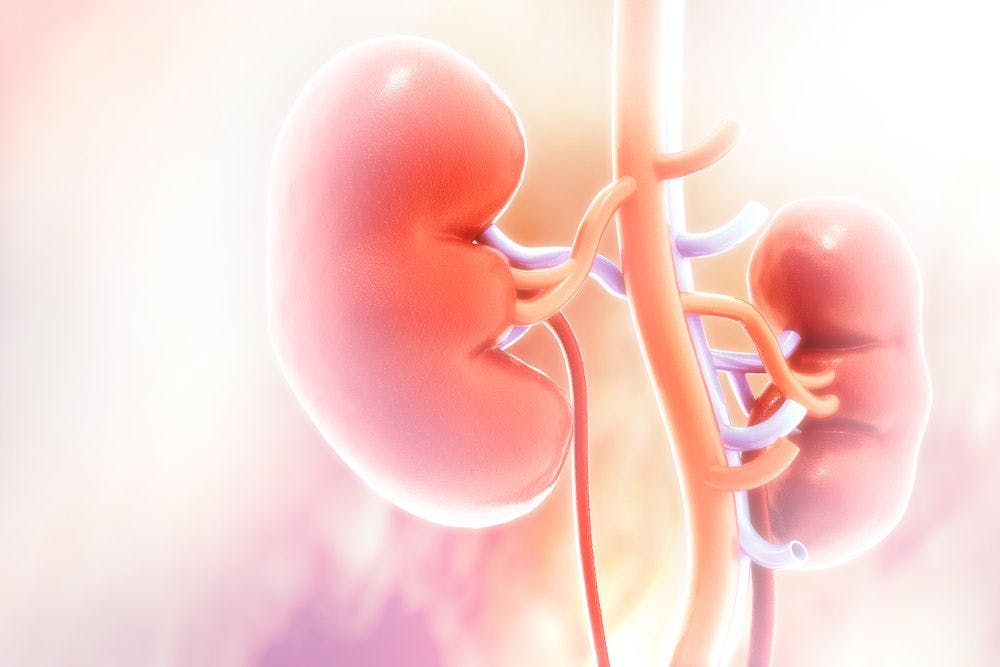 Drug Duo Sparks Encouraging Outcomes in Treatment of Clear Cell Kidney Cancer