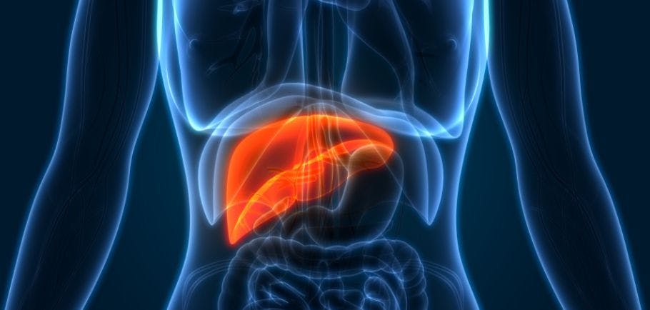 Standard of Care Chemotherapy Treatment Bests Immunotherapy-Based Regimens in Advanced Liver Cancer