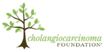 Volunteers Make Big Strides With Raising Awareness, Funding Research for the Cholangiocarcinoma Foundation