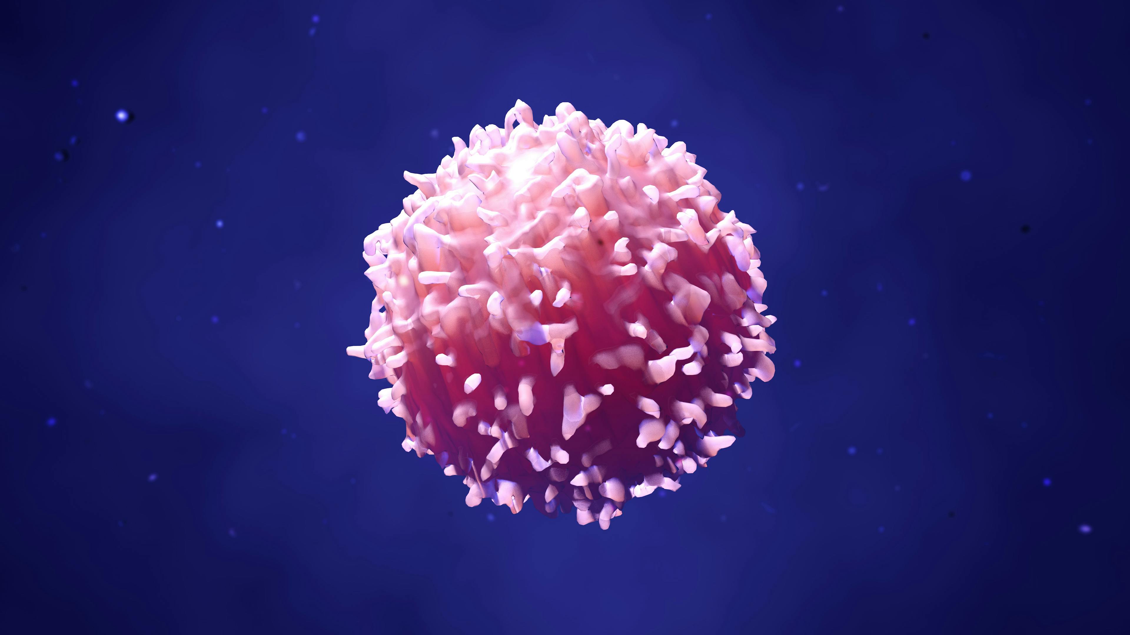 Younger Adults, Women with Cancer Respond Less Well to Immunotherapy with Checkpoint Inhibitors
