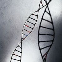 Genetic Testing Can Lead to Insights &mdash; Or Uncertainty