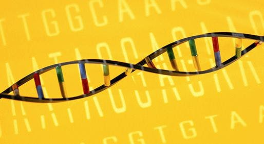 Individual Knowledge Is Power in Addressing BRCA Gene Mutations