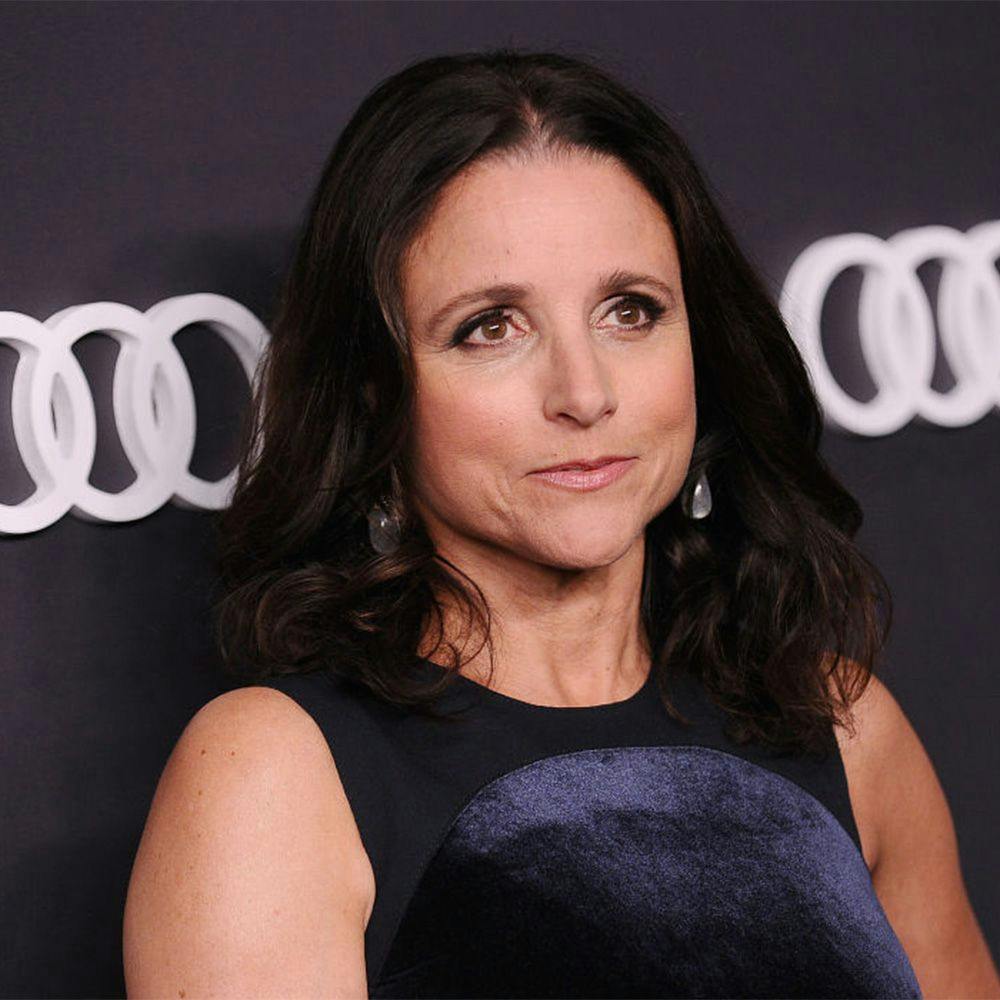Julia Louis-Dreyfus Uses Breast Cancer Announcement to Lobby for Change