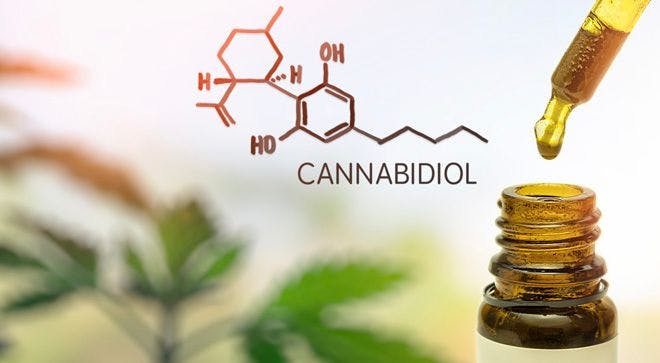 FDA Issues Warning to Curaleaf for 'Illegally Selling' CBD Products Claiming to Treat Cancer
