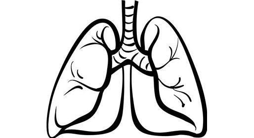 black and white drawing of lungs