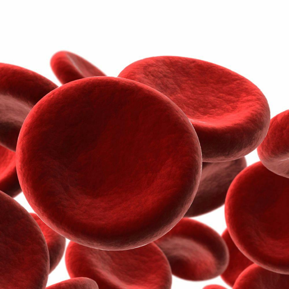 Preventing C. Diff in Patients With Blood Cancer Undergoing Bone Marrow Transplant
