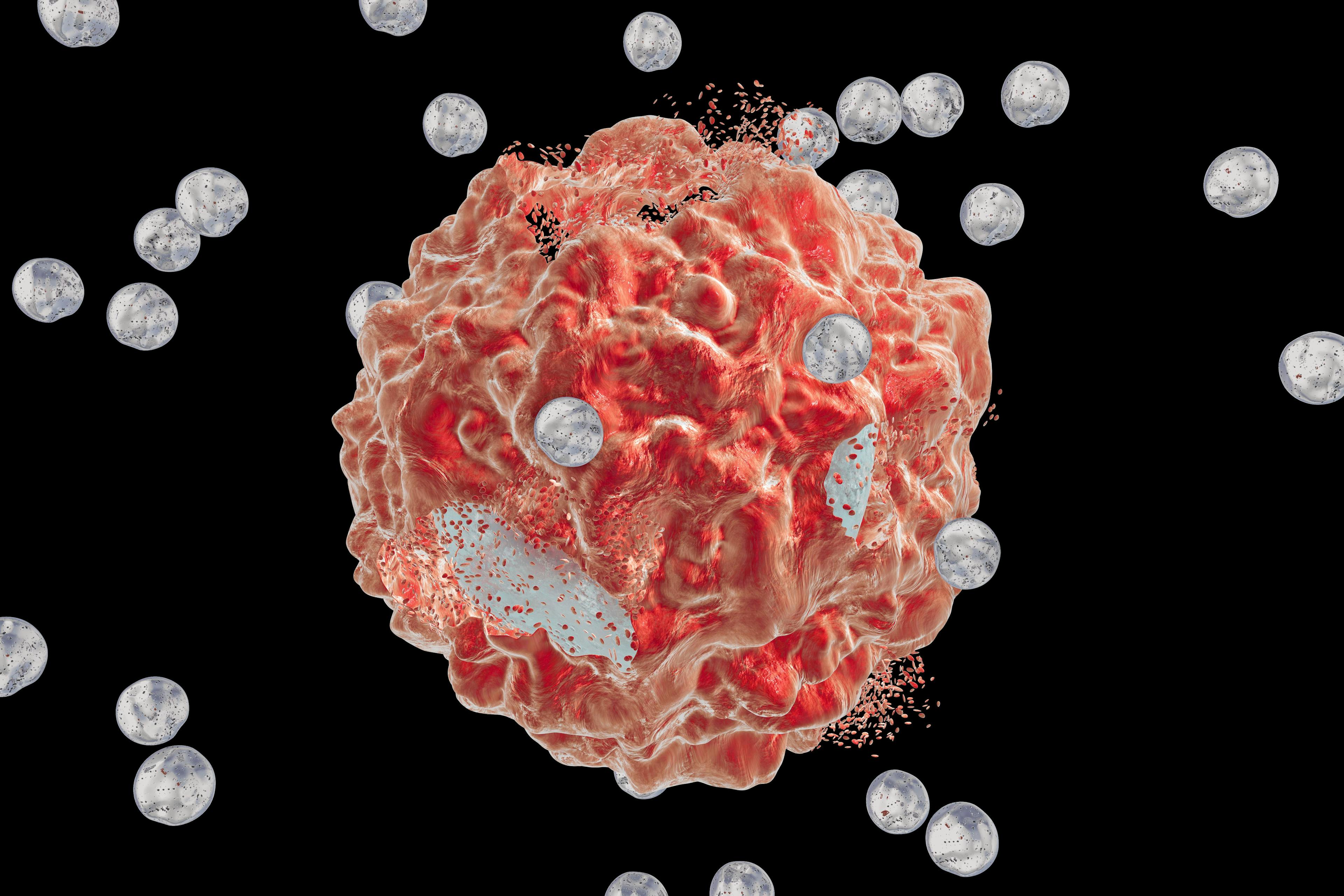 SOT101 With or Without Keytruda Shows Promise, Safety in Treating Advanced Solid Tumors