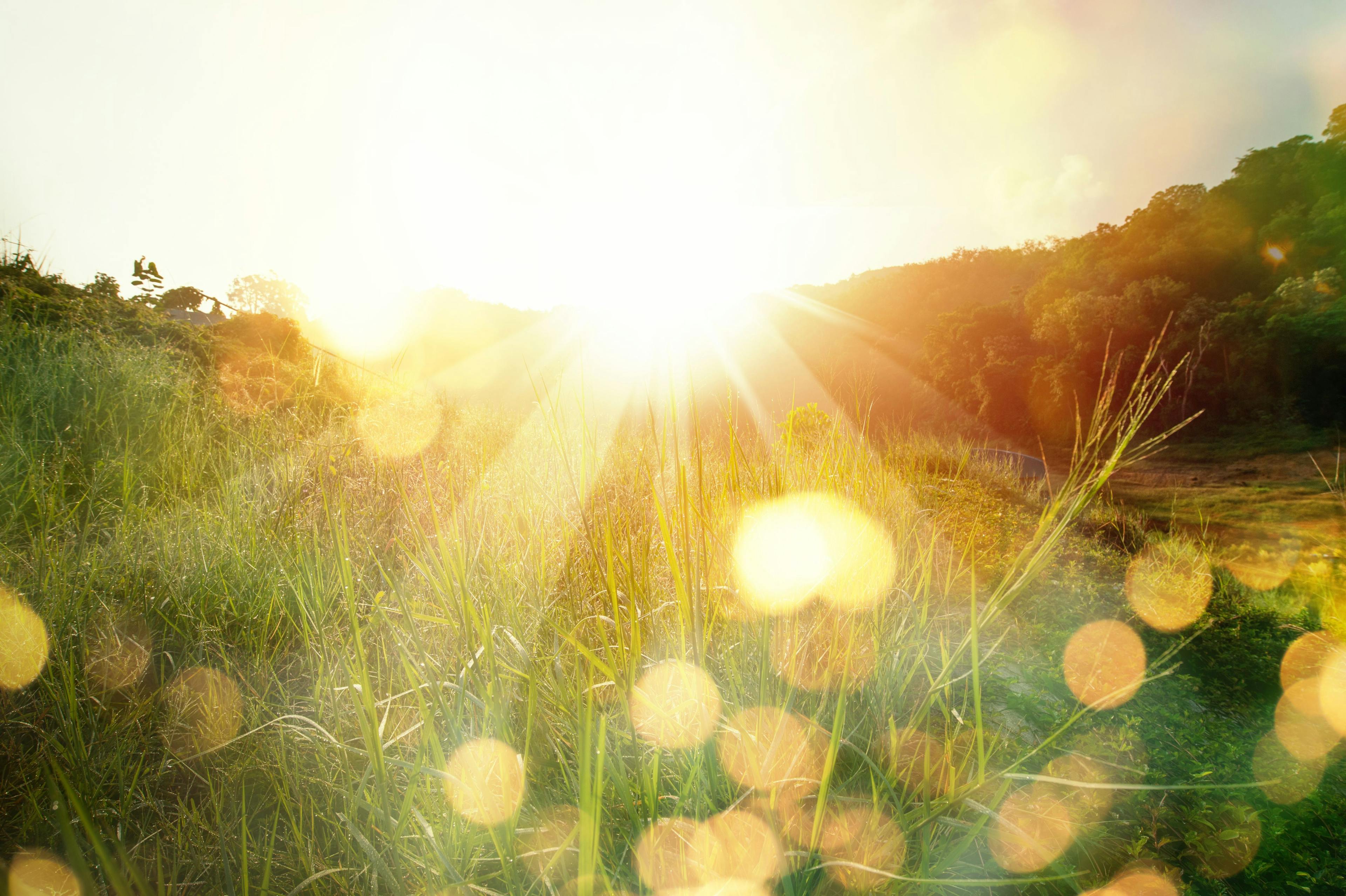 Beautiful sunrise in the mountain..Meadow landscape refreshment with sunray and golden bokeh. | Image credit: © sbw19 - © stock.adobe.com