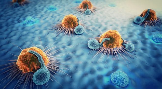 Analysis Identifies Predictors of Survival in Older Patients With Mantle Cell Lymphoma