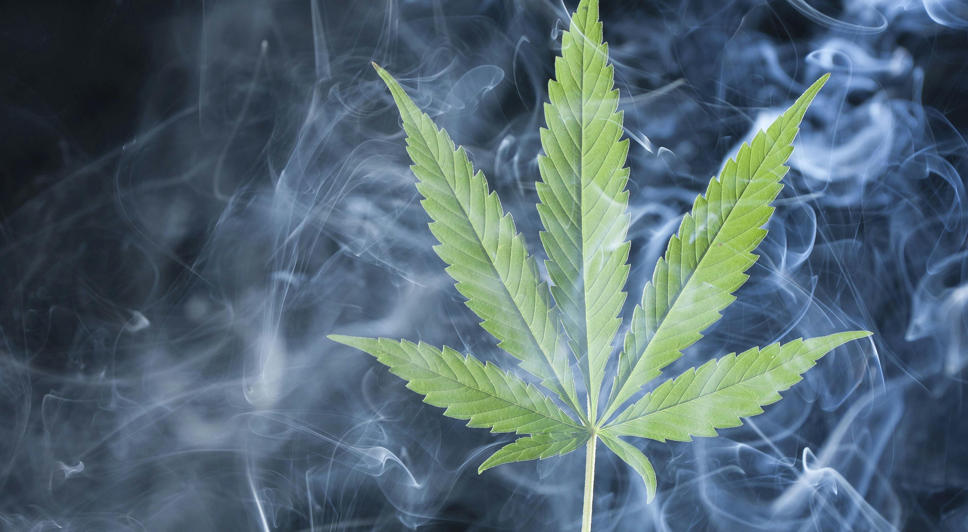 marijuana leaf surrounded by smoke