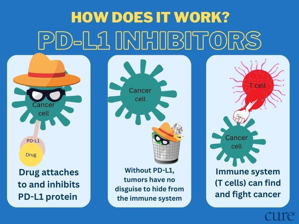How PD-L1 inhibitors work to fight cancer