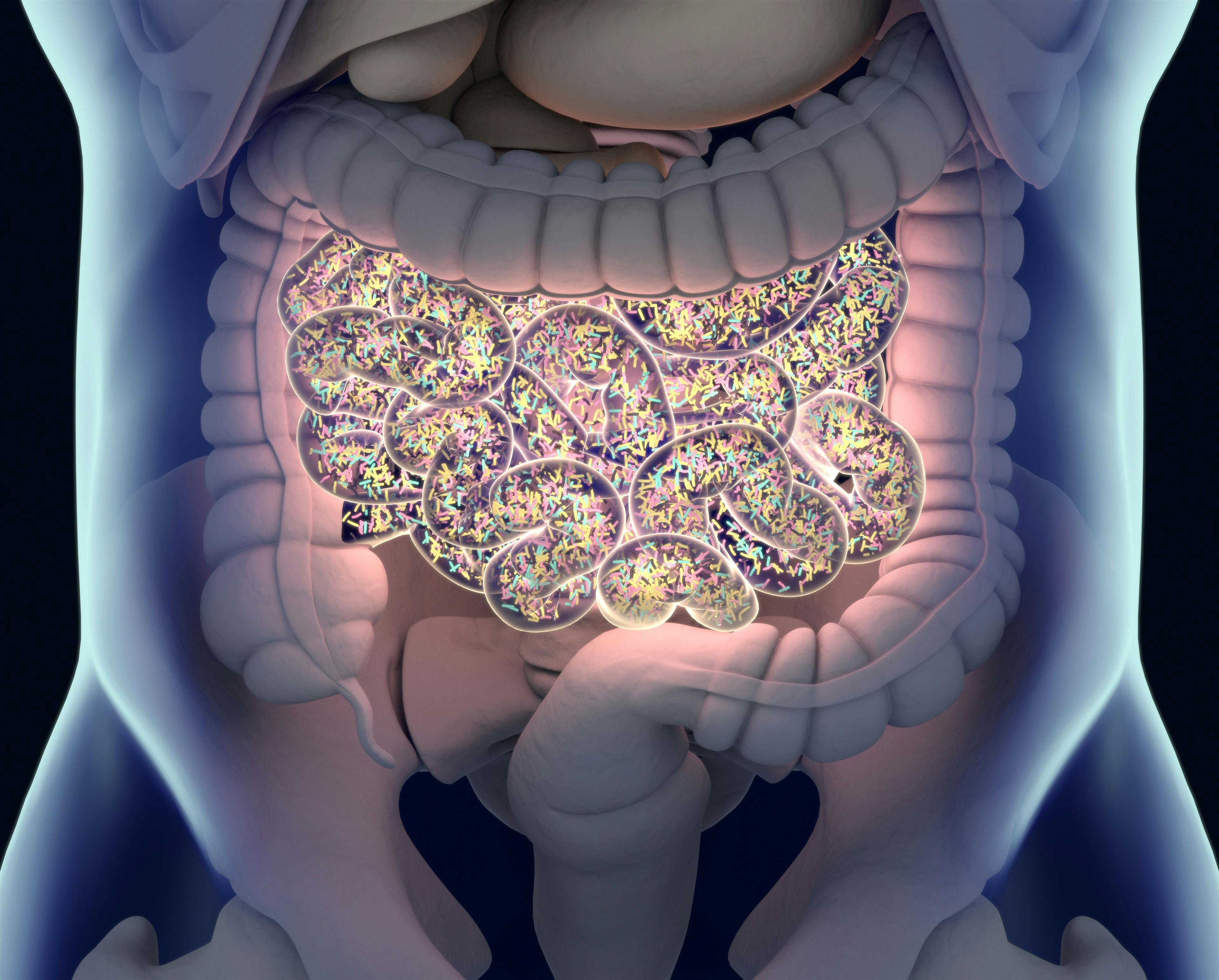 Gut Microbiome Can Affect Radiation Cancer Treatment